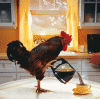 coq et café.gif