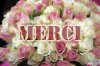 merci_rose.jpg