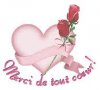 images merci de tout coeur.jpg