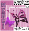 merci papillon.gif