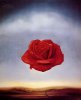 Salvador-Dali-Rose-M-ditative--1958-181837.jpg
