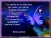 Amitié papillon.jpg
