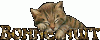 bonne_nuit chat.gif