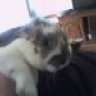 Doudou23