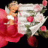 bbbrune13