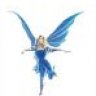 libellule3