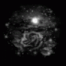 LuneNoire
