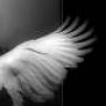 Monangel