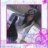 shana17300