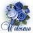 phine007